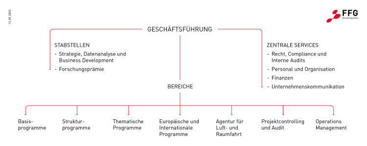 Die Organisationsstruktur der FFG in einer strukturierten Darstellung, wie im folgenden Text beschrieben.