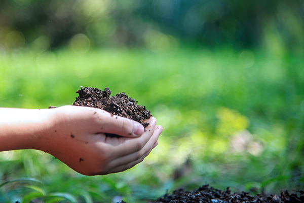Zwei Hände mit etwas Erde. Foto: iStock