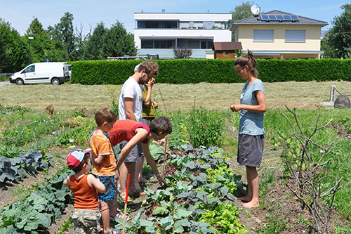 Junge Familie auf einem Gemüsefeld. Foto: Stefan Schartlmüller