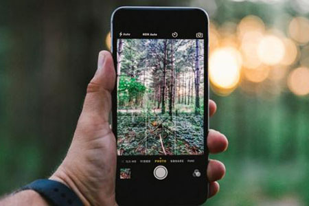 Ein Smartphone zeigt ein Bild eines Waldes. Foto: Drew Hays/Unsplash