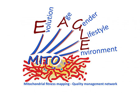 Logo von MitoEAGLE