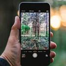 Eine Hand hält ein Smartphone mit einem Bild vom Wald. Foto: Foto: Drew Hays/Unsplash