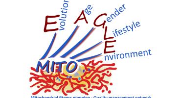 Ein Katalog für mitochondriale Fitness